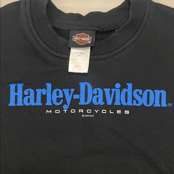 Harley Davidson Logo Youth Sweatshirt Size 6/6X - Picture 1 of 4